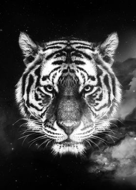 Galaxy Tiger face wallpape