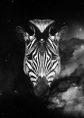 Galaxy Zebra face wallpape