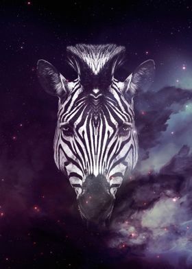 Galaxy Zebra face wallpape