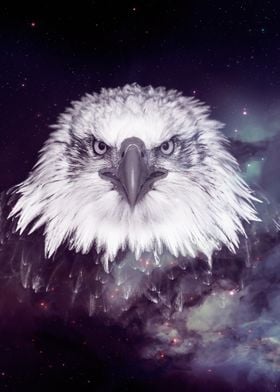 Galaxy Eagle face wallpape