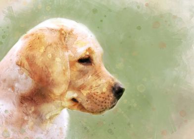 Labrador puppy watercolor