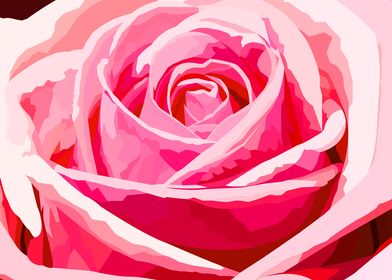 Valentine rose