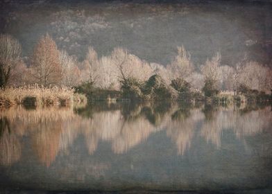 winter reflection on lake