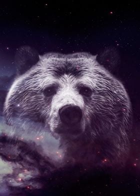 Galaxy Bear face wallpaper