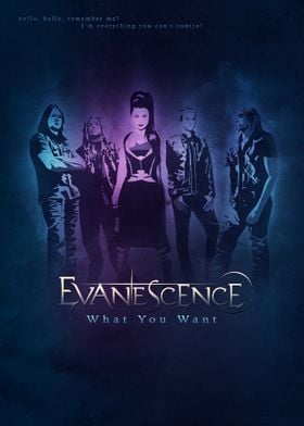 Evanescence, What You Want