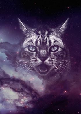 Galaxy Cat face wallpaper 