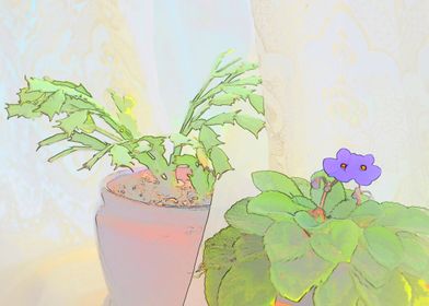 Cactus with Violets