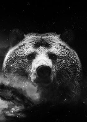 Galaxy Bear face wallpaper