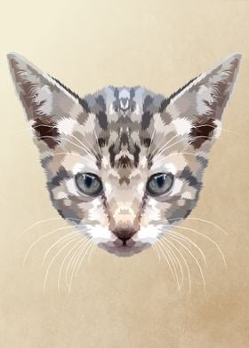 kitten on geometric art 