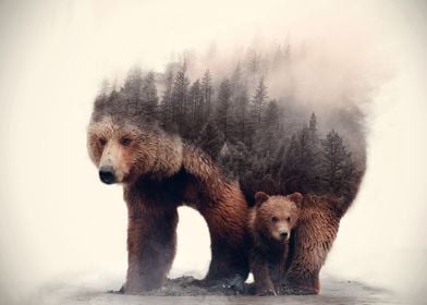 Bear in forest