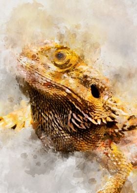 Bearded Dragon