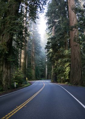 Oregon Back Roads