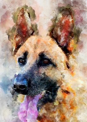 German Shepherd Dog