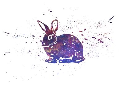 Bunny Galaxy Splatter