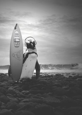 Surfing penguin