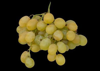 Bunch of  white grapes