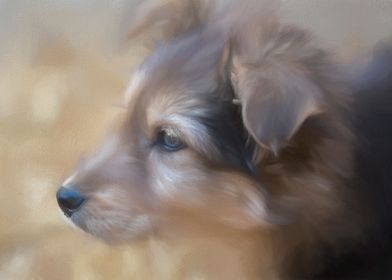 abstract little dog