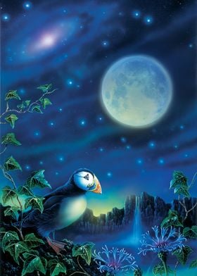Puffin Moon