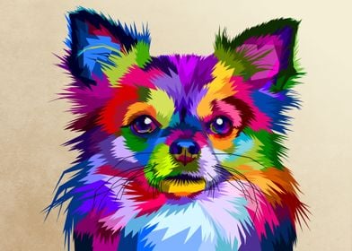 colorful chihuahua dog