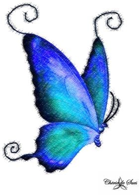 Aqua Blue Butterfly 
