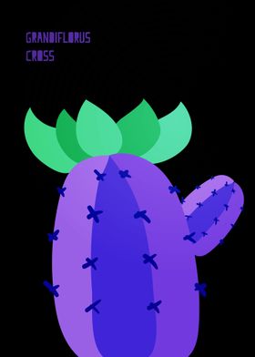 Special Cactus