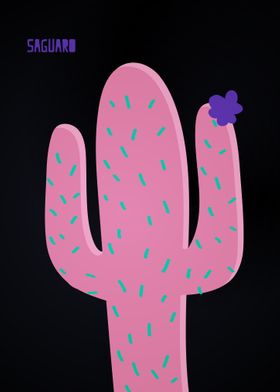 Different Cactus