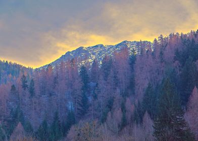 snowy mountain landscape