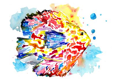 Rainbow Fish Watercolor