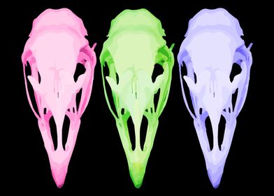 Neon Bird Skulls