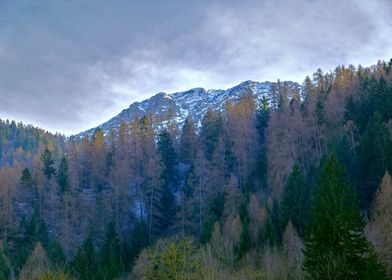 snowy mountain landscape