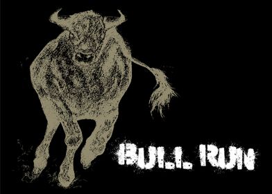 Bull Run Original Pen Art 