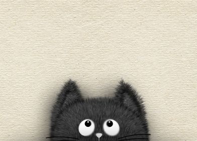 Cute Fluffy Black cat