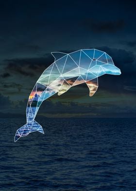 Geometric Dolphin