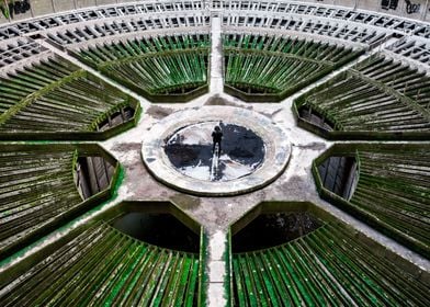 Plant Tower by Drone