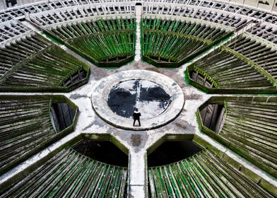 Plant Tower by Drone