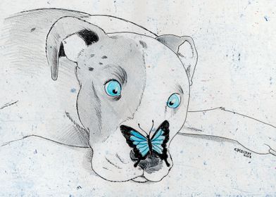 Pit Bull with Butterfly