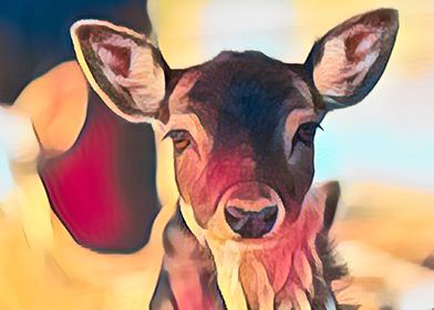 deer in the mountain