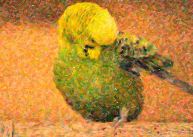 Bird green parrot