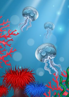 sea life jellyfish