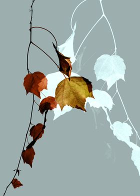 branch of autumnal tree