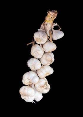 garlic hung in the hut