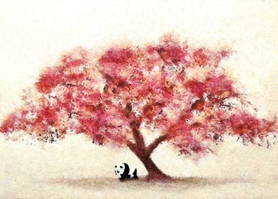 Cherry Blossom and Panda