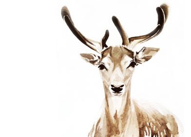 Watercolor deer