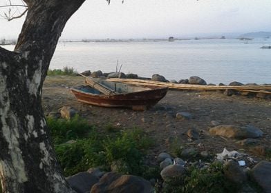 Boat at the shore