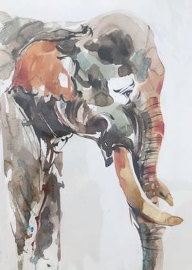 watercolor with elephant