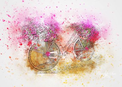 Flower Baskets On Bicycle