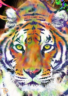 Tiger Jungle Close Up