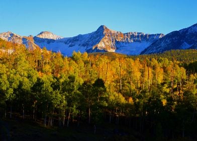 Rocky Mountain Fall