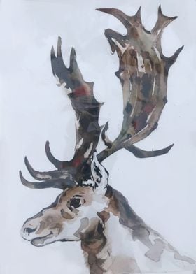 watercolor with deer