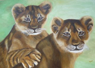 Lion 6  Cubs